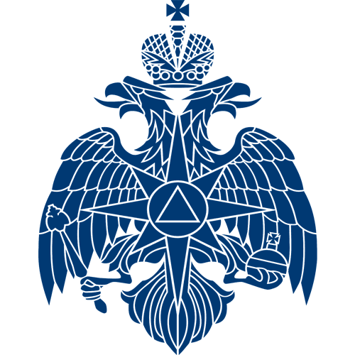 Получение лицензии МЧС в Пушкине